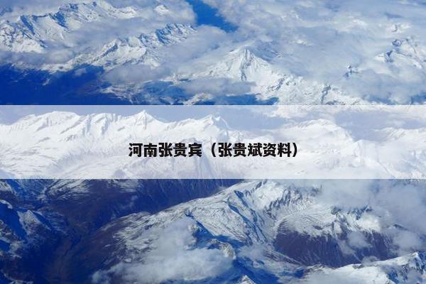 河南张贵宾（张贵斌资料）