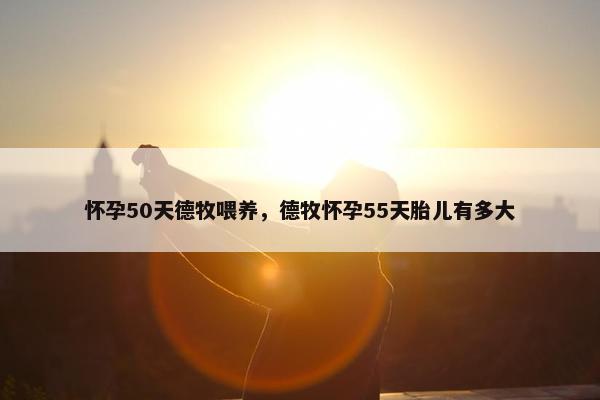 怀孕50天德牧喂养，德牧怀孕55天胎儿有多大