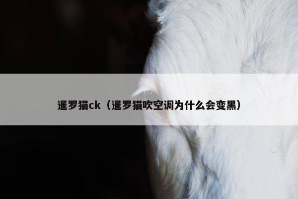 暹罗猫ck（暹罗猫吹空调为什么会变黑）