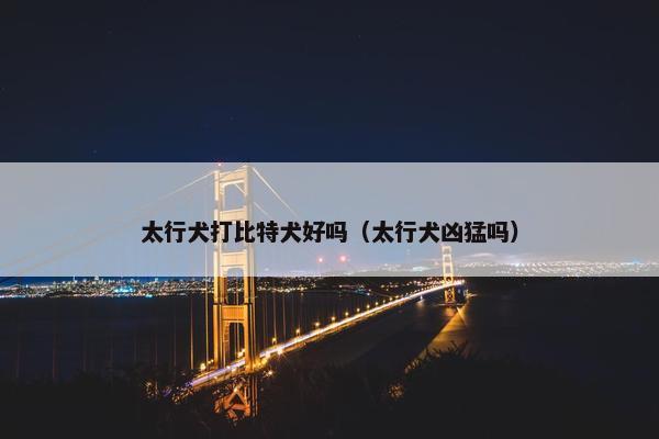 太行犬打比特犬好吗（太行犬凶猛吗）