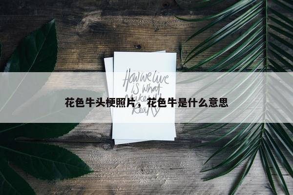 花色牛头梗照片，花色牛是什么意思