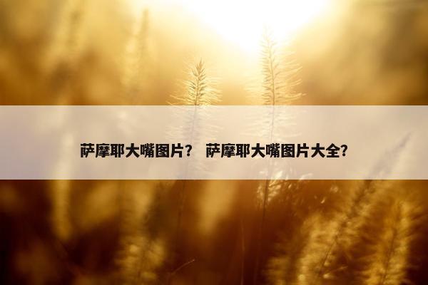 萨摩耶大嘴图片？ 萨摩耶大嘴图片大全？