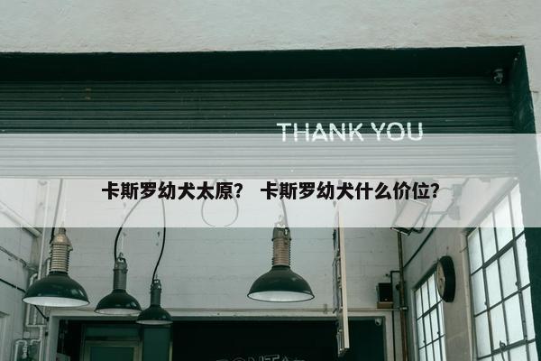 卡斯罗幼犬太原？ 卡斯罗幼犬什么价位？