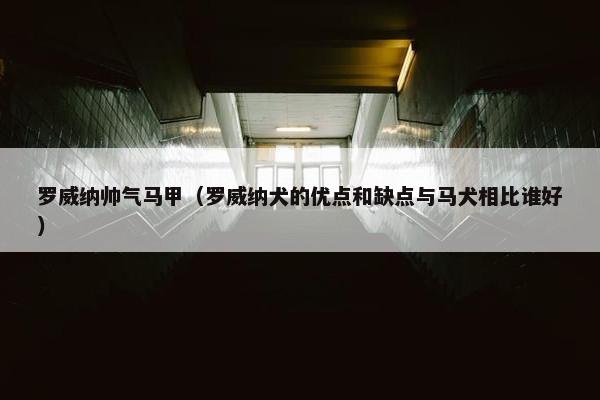 罗威纳帅气马甲（罗威纳犬的优点和缺点与马犬相比谁好）