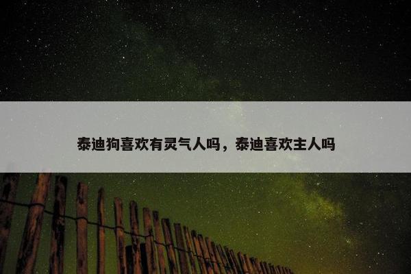 泰迪狗喜欢有灵气人吗，泰迪喜欢主人吗