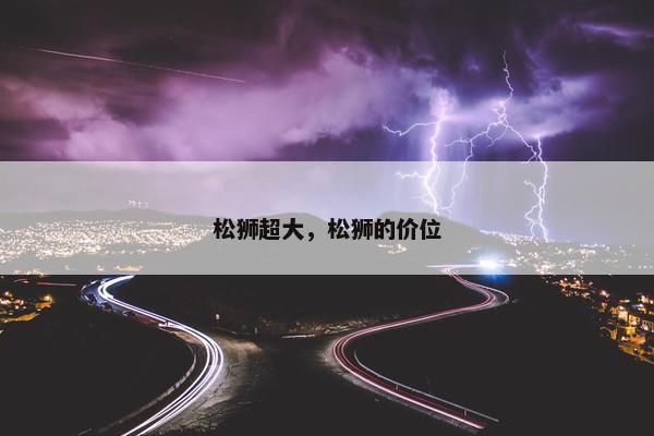 松狮超大，松狮的价位