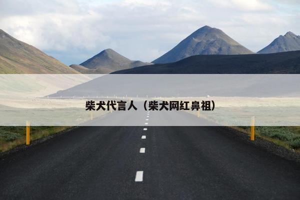 柴犬代言人（柴犬网红鼻祖）