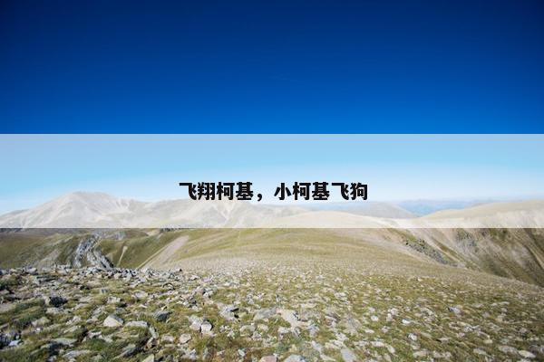 金路
