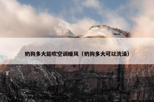 止泻