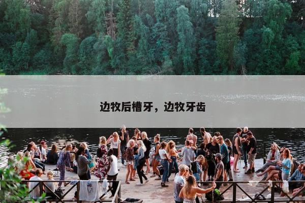 边牧后槽牙，边牧牙齿