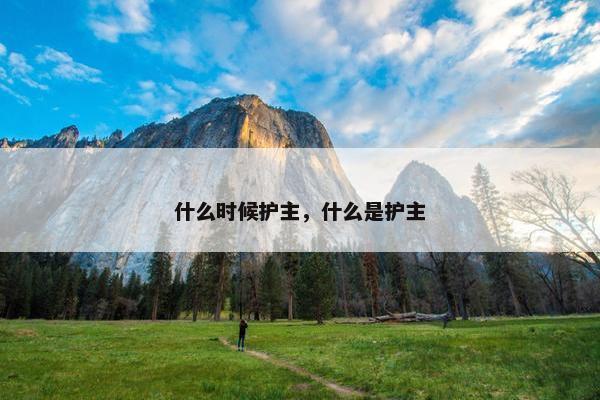 什么时候护主，什么是护主