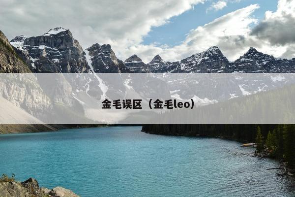 金毛误区（金毛leo）
