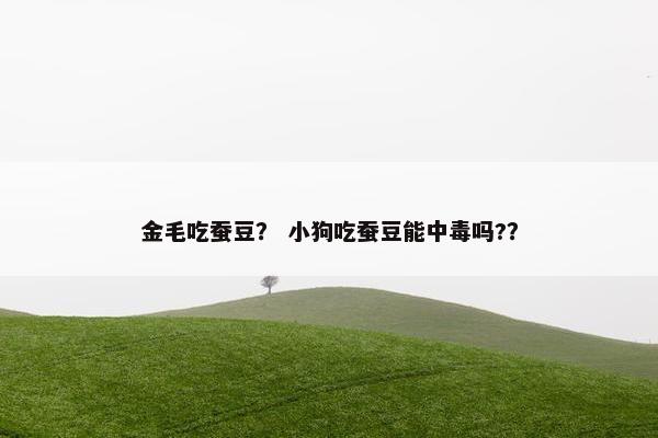 金毛吃蚕豆？ 小狗吃蚕豆能中毒吗?？