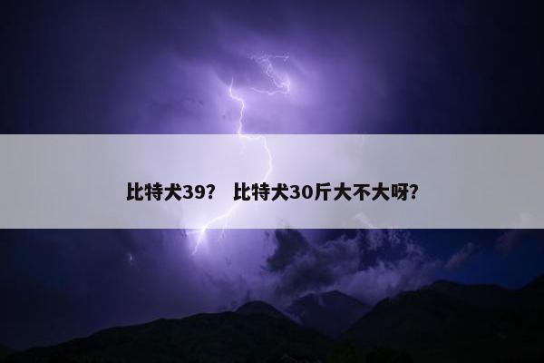 比特犬39？ 比特犬30斤大不大呀？