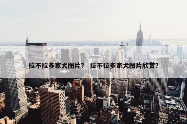 拉不拉多家犬图片？ 拉不拉多家犬图片欣赏？