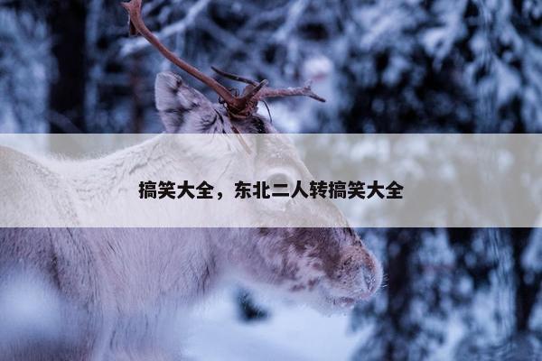 搞笑大全，东北二人转搞笑大全