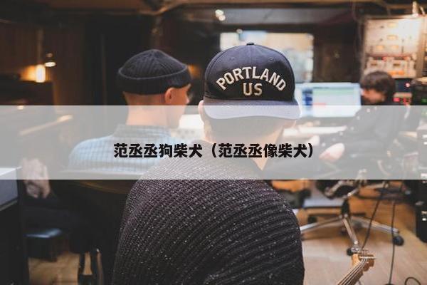 范丞丞狗柴犬（范丞丞像柴犬）