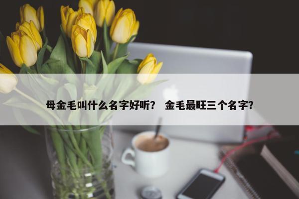 母金毛叫什么名字好听？ 金毛最旺三个名字？