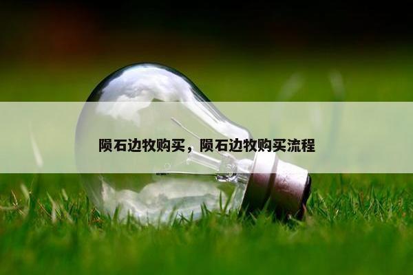陨石边牧购买，陨石边牧购买流程