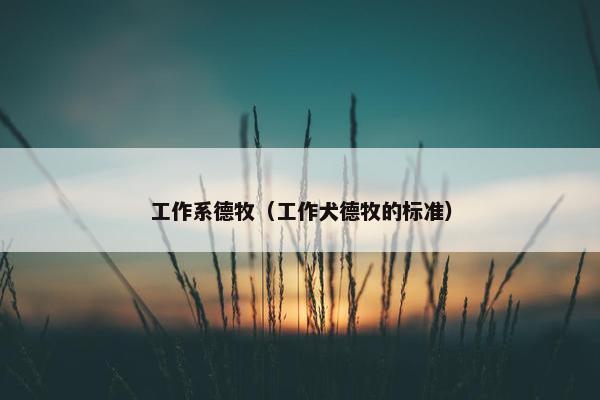工作系德牧（工作犬德牧的标准）