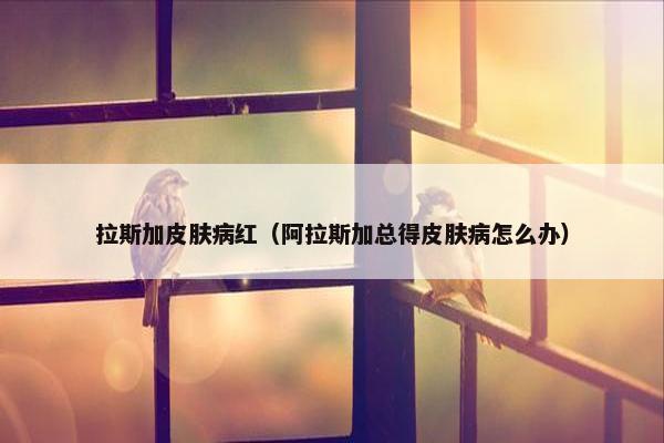 拉斯加皮肤病红（阿拉斯加总得皮肤病怎么办）