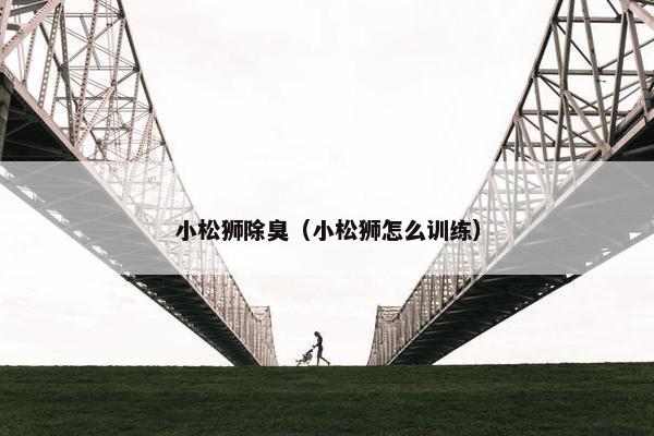 小松狮除臭（小松狮怎么训练）