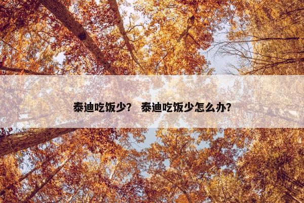 泰迪吃饭少？ 泰迪吃饭少怎么办？