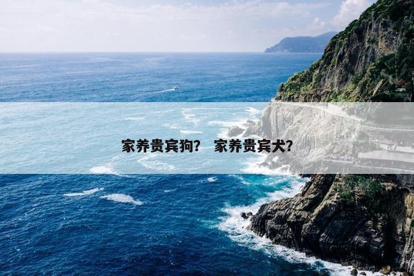 家养贵宾狗？ 家养贵宾犬？
