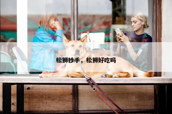松狮抄手,松狮好吃吗
