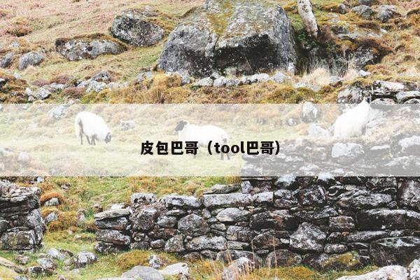 皮包巴哥（tool巴哥）