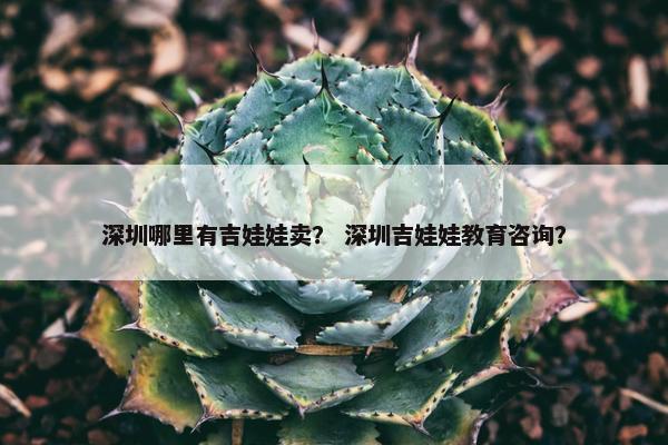 深圳哪里有吉娃娃卖？ 深圳吉娃娃教育咨询？