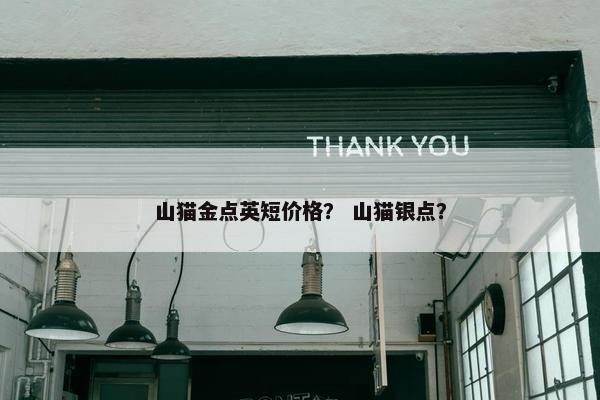 山猫金点英短价格？ 山猫银点？
