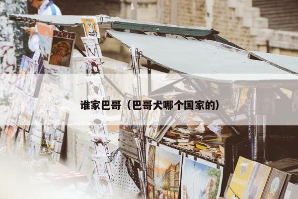 谁家巴哥（巴哥犬哪个国家的）