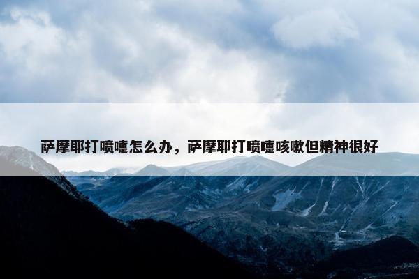萨摩耶打喷嚏怎么办，萨摩耶打喷嚏咳嗽但精神很好