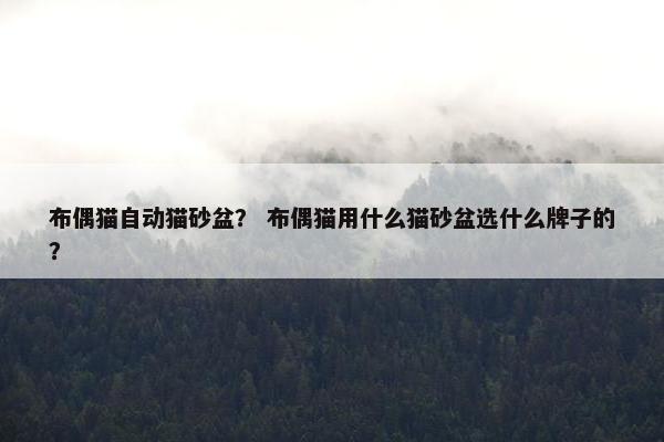 布偶猫自动猫砂盆？ 布偶猫用什么猫砂盆选什么牌子的？