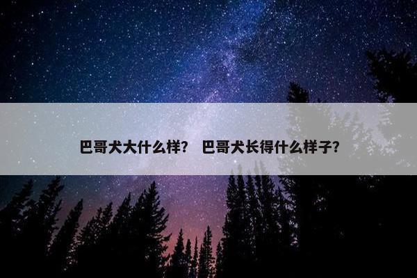 巴哥犬大什么样？ 巴哥犬长得什么样子？