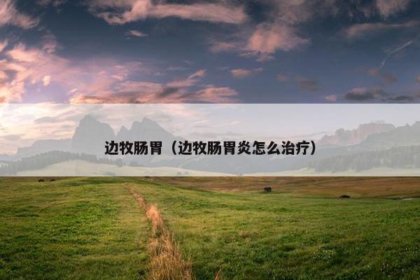 边牧肠胃(边牧肠胃炎怎么治疗)