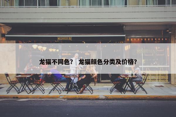 龙猫不同色？ 龙猫颜色分类及价格？