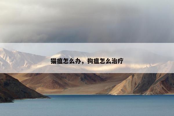 猫瘟怎么办，狗瘟怎么治疗