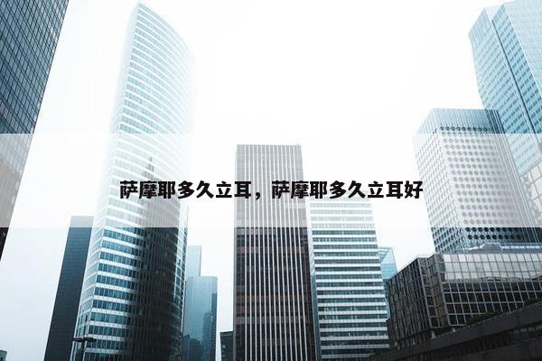 萨摩耶多久立耳，萨摩耶多久立耳好