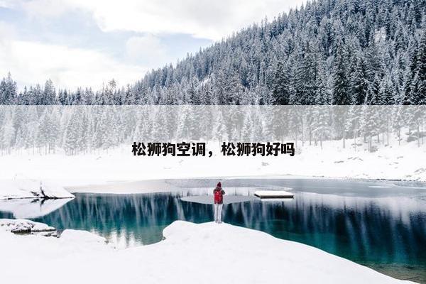 松狮狗空调,松狮狗好吗