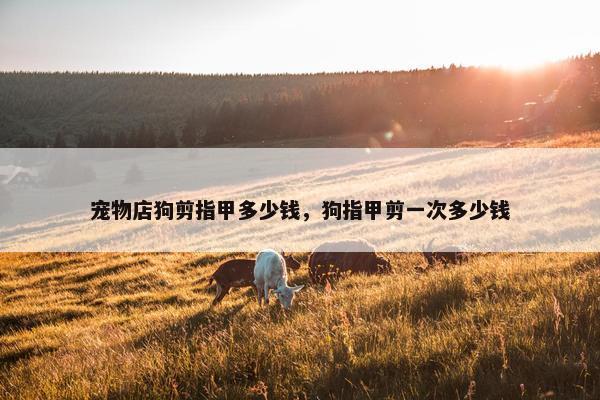 宠物店狗剪指甲多少钱，狗指甲剪一次多少钱