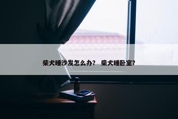 柴犬睡沙发怎么办？ 柴犬睡卧室？