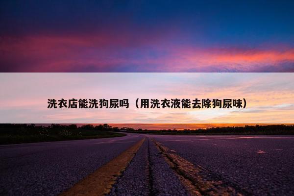 洗衣店能洗狗尿吗(用洗衣液能去除狗尿味)