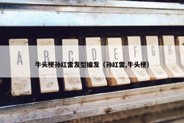 牛头梗孙红雷发型编发（孙红雷,牛头梗）
