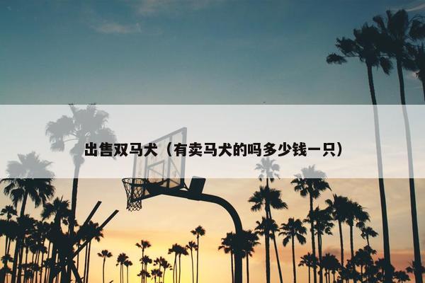 出售双马犬（有卖马犬的吗多少钱一只）