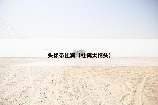 头像带杜宾（杜宾犬情头）