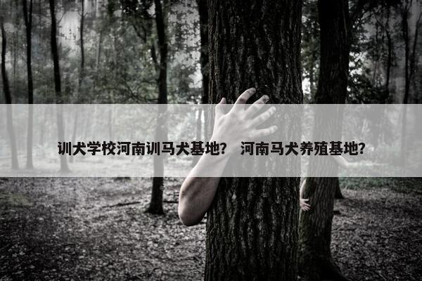 训练时间