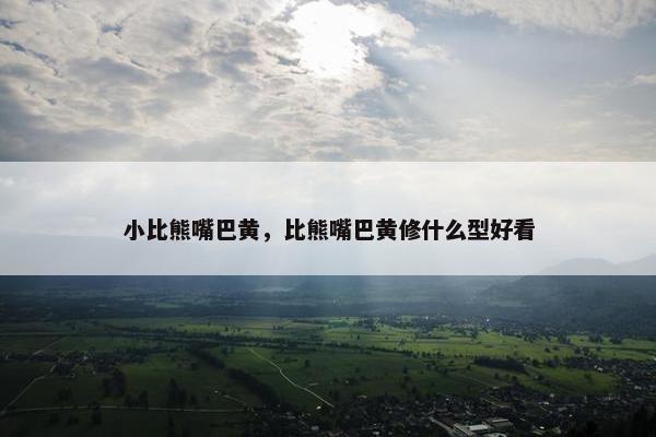 小比熊嘴巴黄，比熊嘴巴黄修什么型好看