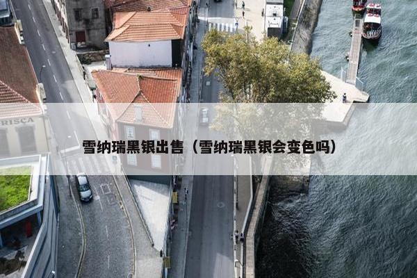 雪纳瑞黑银出售（雪纳瑞黑银会变色吗）
